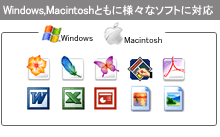 ���饷���������������ʤ饪��饤������Υեǥӥ� Windows,Macintosh�Ȥ���͡��ʥ��եȤ��б�