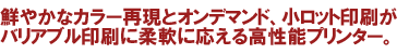 ���饷���������������ʤ饪��饤������Υեǥӥ� ���䤫�ʥ��顼�Ƹ��ȥ���ǥޥ�ɡ������åȰ������Хꥢ�֥�����˽���˱�����褦����ǽ�ץ�󥿡�