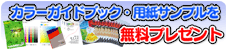 チラシ印刷・封筒印刷ならオンライン印刷のフデビン カラーガイドブック・用紙サンプル無料プレゼント