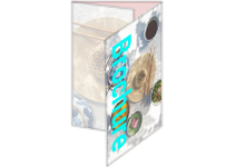 3ޥѥեå 饷  ǥޥɰ  Х ݥ ޹ Ȼ   QuarkXPress ѥ󥫥顼ɸǧ ꤢ Хꥢ֥ եå ȯ Adobe PANTONEб ̵  Ȼ