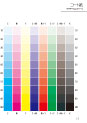 機関誌や広報誌ならエコグリーン印刷通販の印刷便カラーチャート13